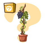 New MB items Database Mb-grape-vines