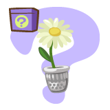 Nueva actualizacion 12/8 Mb-thimble-flower-pot