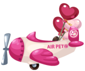 De campamento! [Actualizacion 23/6] Air-pet-pink-private-jet